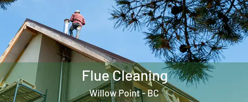  Flue Cleaning Willow Point - BC