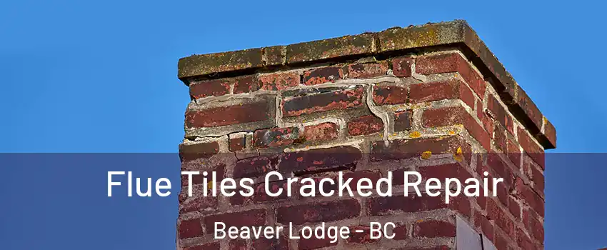  Flue Tiles Cracked Repair Beaver Lodge - BC
