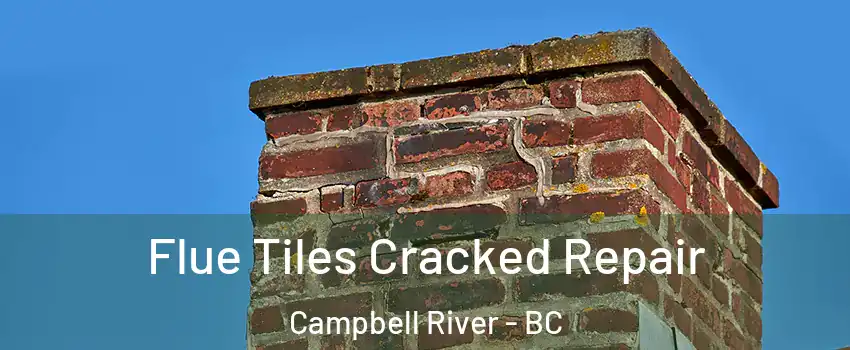  Flue Tiles Cracked Repair Campbell River - BC