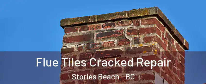  Flue Tiles Cracked Repair Stories Beach - BC