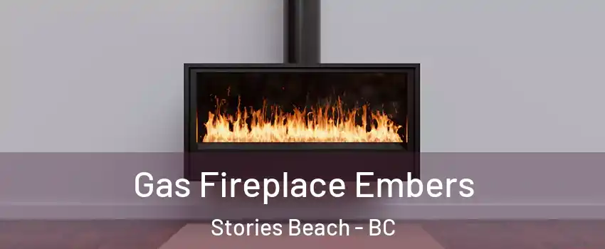  Gas Fireplace Embers Stories Beach - BC
