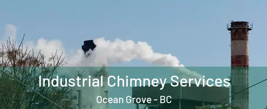 Industrial Chimney Services Ocean Grove - BC