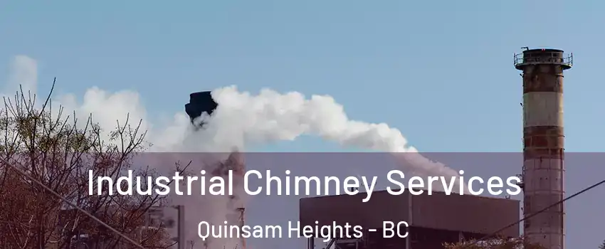  Industrial Chimney Services Quinsam Heights - BC