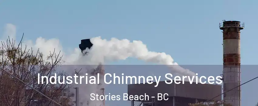  Industrial Chimney Services Stories Beach - BC
