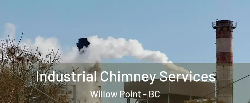  Industrial Chimney Services Willow Point - BC