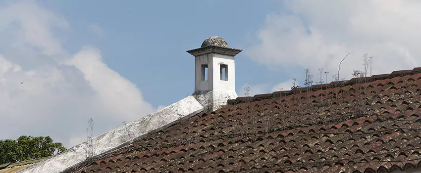 Wind-Resistant Chimney Caps Installation and Repair Services in Campbell River, British Columbia
