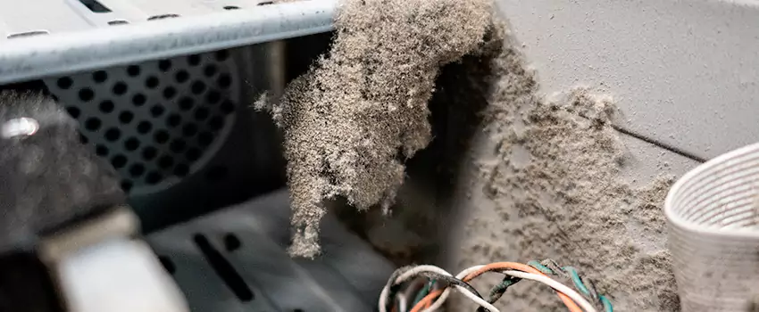 Clogged Dryer Vent Lint Cleaning in Campbell River, British Columbia