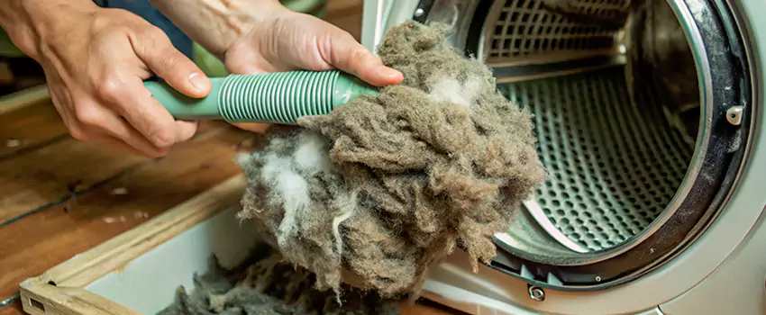 Best Dryer Lint Removal Company in Campbell River, British Columbia