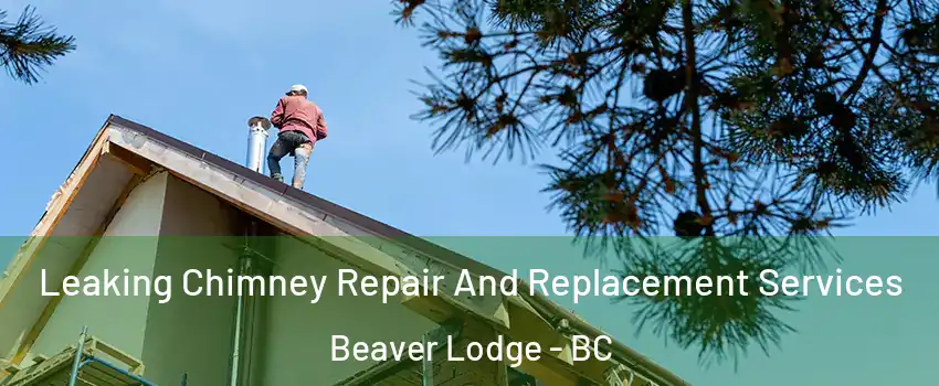  Leaking Chimney Repair And Replacement Services Beaver Lodge - BC