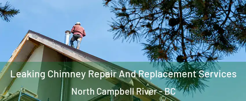  Leaking Chimney Repair And Replacement Services North Campbell River - BC