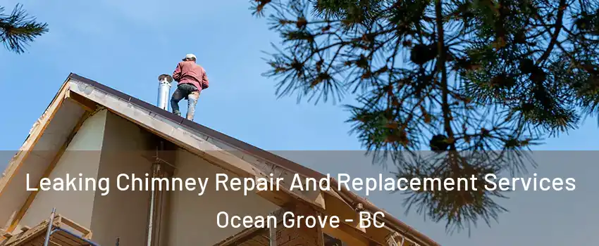  Leaking Chimney Repair And Replacement Services Ocean Grove - BC