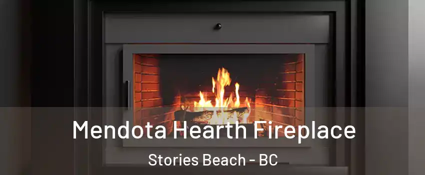Mendota Hearth Fireplace Stories Beach - BC