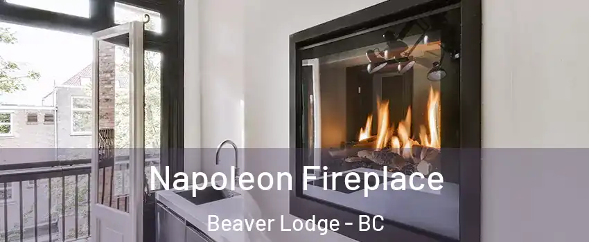  Napoleon Fireplace Beaver Lodge - BC