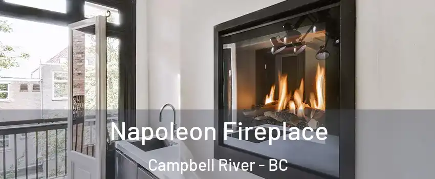  Napoleon Fireplace Campbell River - BC
