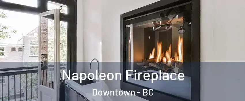  Napoleon Fireplace Downtown - BC