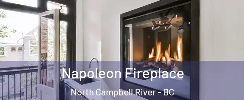  Napoleon Fireplace North Campbell River - BC