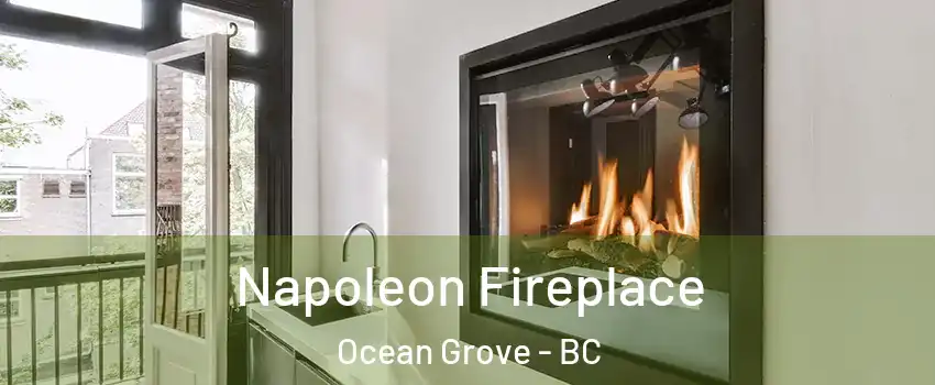  Napoleon Fireplace Ocean Grove - BC