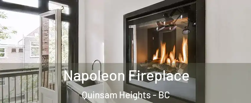  Napoleon Fireplace Quinsam Heights - BC