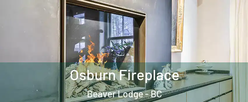  Osburn Fireplace Beaver Lodge - BC