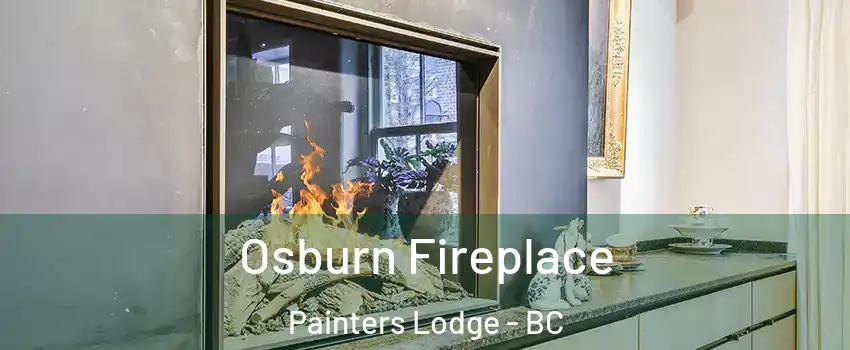  Osburn Fireplace Painters Lodge - BC