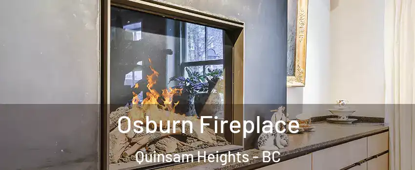  Osburn Fireplace Quinsam Heights - BC