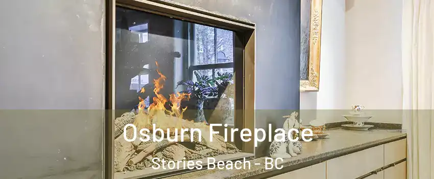  Osburn Fireplace Stories Beach - BC
