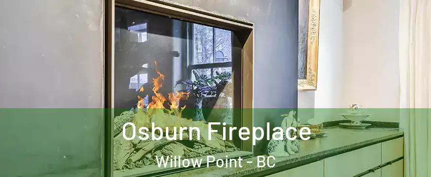  Osburn Fireplace Willow Point - BC