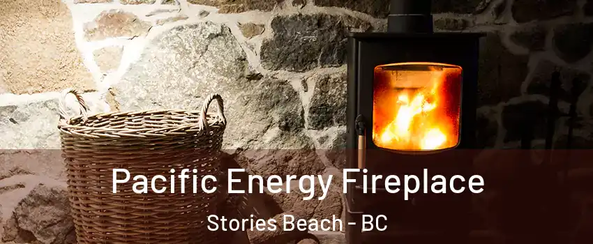  Pacific Energy Fireplace Stories Beach - BC