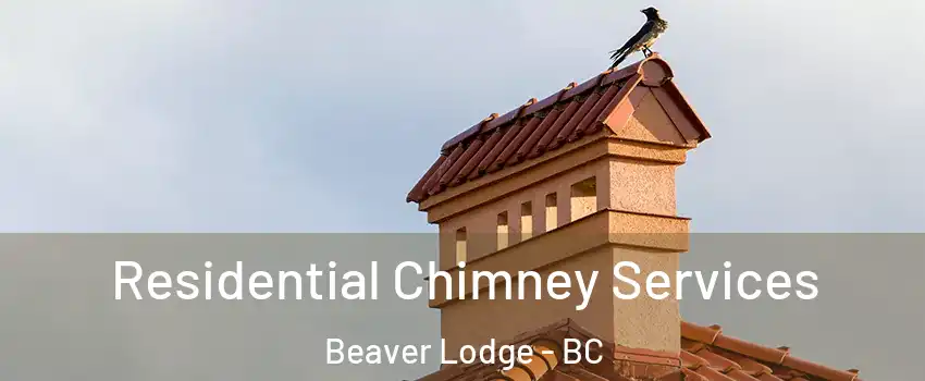  Residential Chimney Services Beaver Lodge - BC