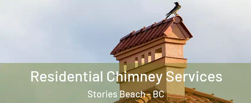  Residential Chimney Services Stories Beach - BC