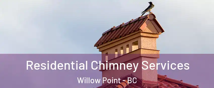  Residential Chimney Services Willow Point - BC