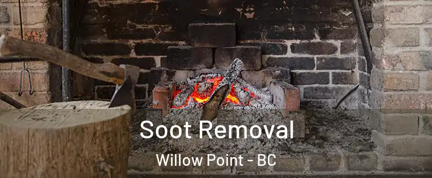  Soot Removal Willow Point - BC