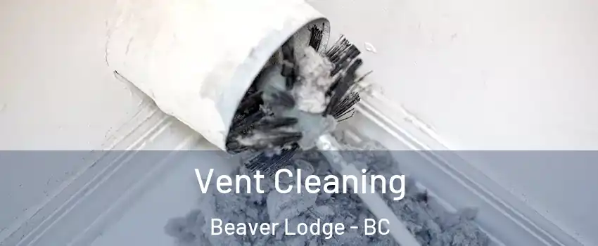  Vent Cleaning Beaver Lodge - BC