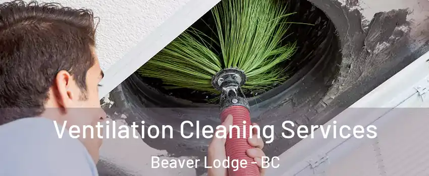  Ventilation Cleaning Services Beaver Lodge - BC