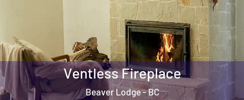 Ventless Fireplace Beaver Lodge - BC