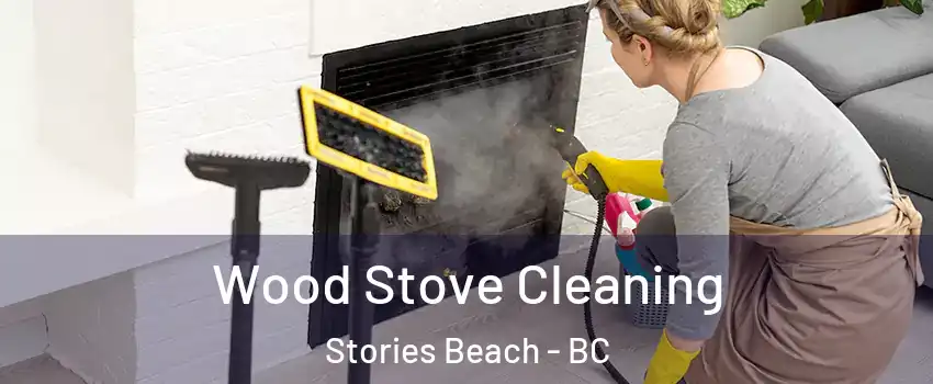  Wood Stove Cleaning Stories Beach - BC