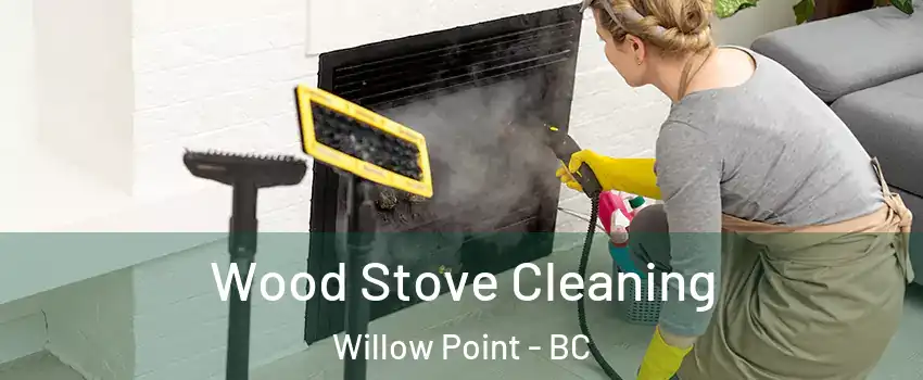  Wood Stove Cleaning Willow Point - BC